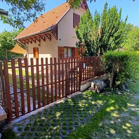 Willa Relax Ii. Vendeghaz Dunapataj Zewnętrze zdjęcie