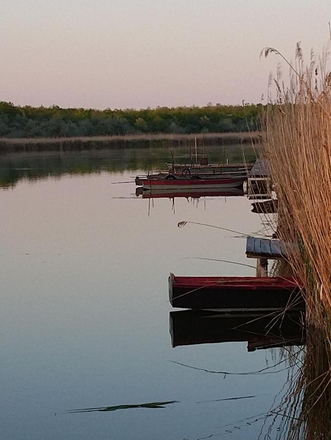 Willa Relax Ii. Vendeghaz Dunapataj Zewnętrze zdjęcie